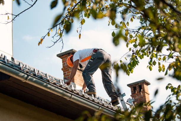 Best Commercial Roofing Services  in Dickinson, ND