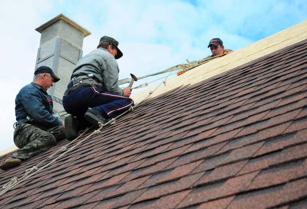 Best New Roof Installation  in Dickinson, ND