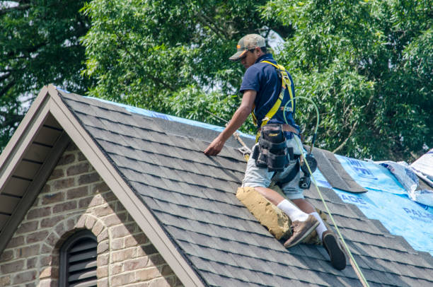 Best Metal Roofing Contractor  in Dickinson, ND